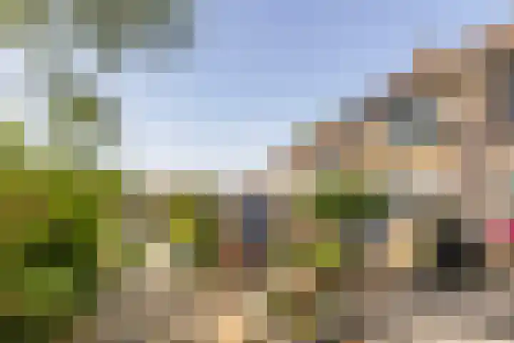 De Kleine Kampen 174 Rhenen thumbnail 30