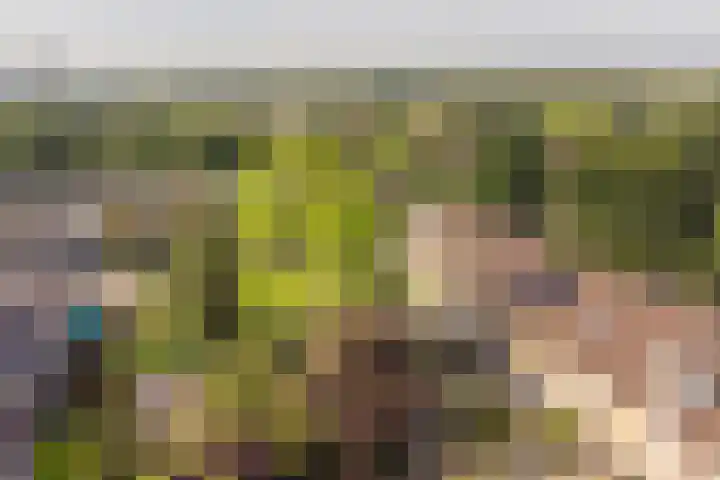 De Kleine Kampen 174 Rhenen thumbnail 31