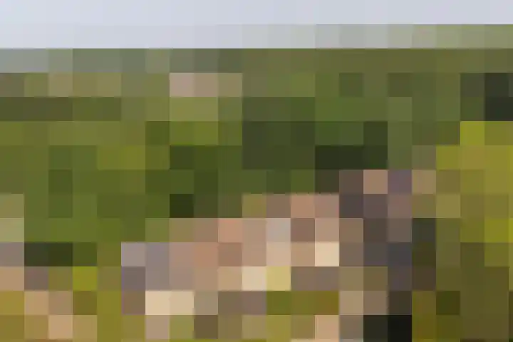 De Kleine Kampen 174 Rhenen thumbnail 32