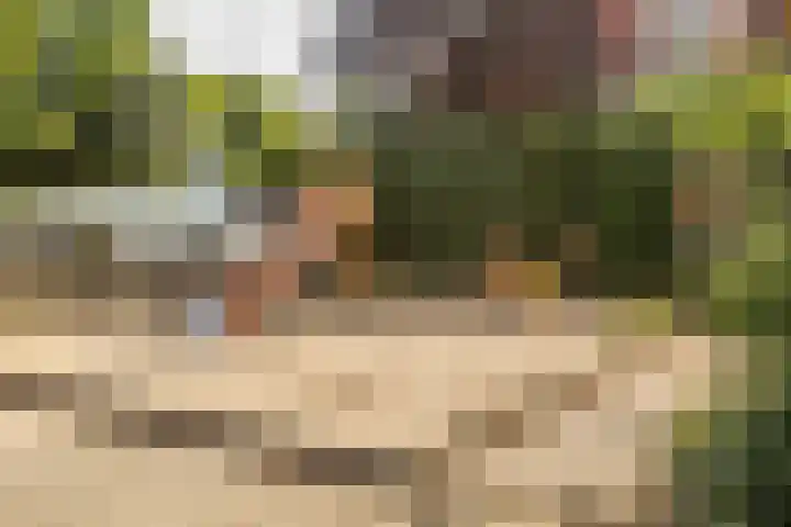 De Kleine Kampen 174 Rhenen thumbnail 34