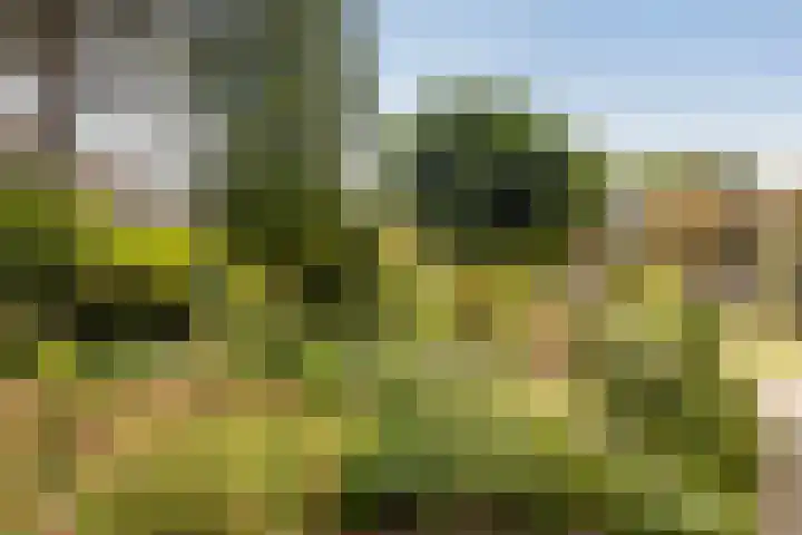 De Kleine Kampen 174 Rhenen thumbnail 35