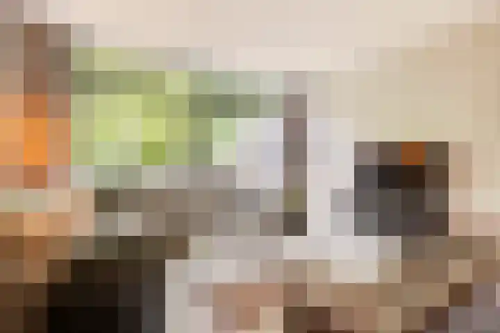 De Kleine Kampen 174 Rhenen thumbnail 5