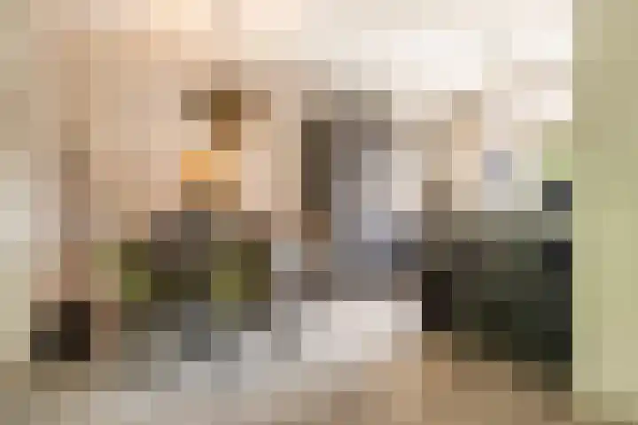 De Kleine Kampen 174 Rhenen thumbnail 7