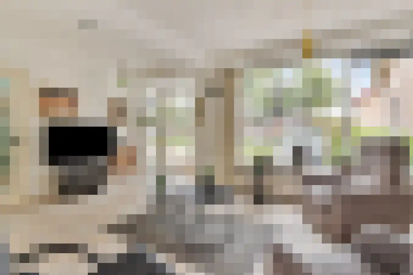 de Kleine Lend 10 Reusel thumbnail 11