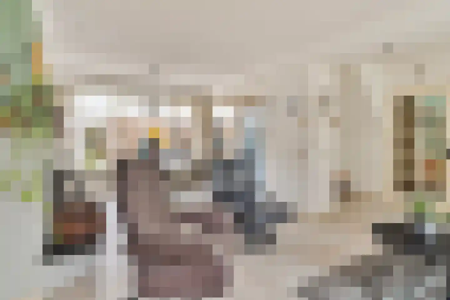 de Kleine Lend 10 Reusel thumbnail 12