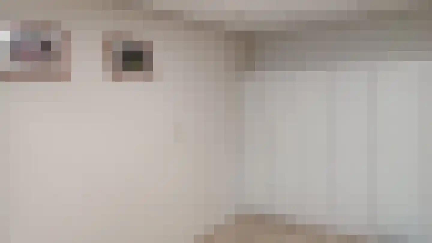 de Kleine Lend 10 Reusel thumbnail 17