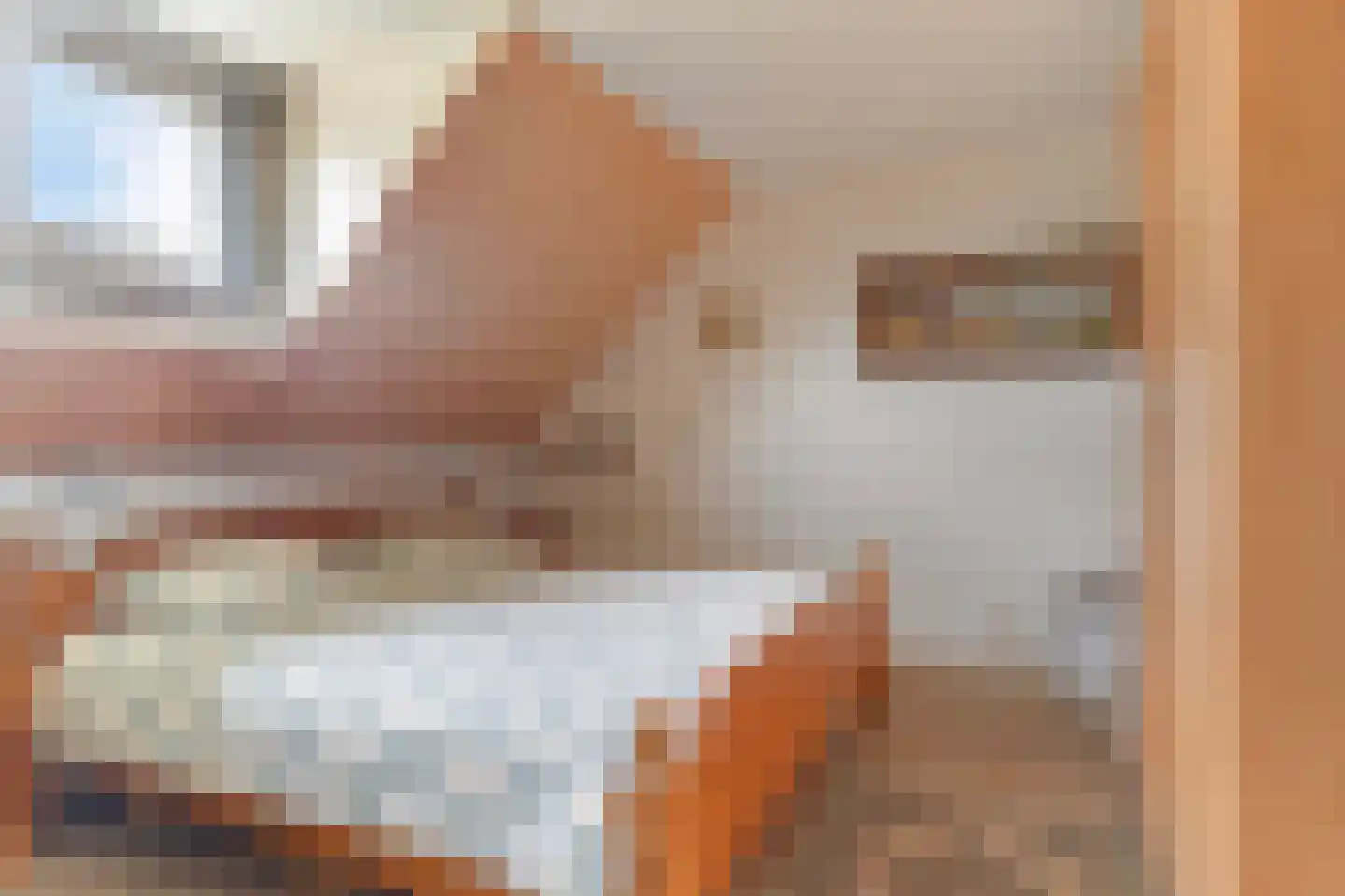 de Kleine Lend 10 Reusel thumbnail 20