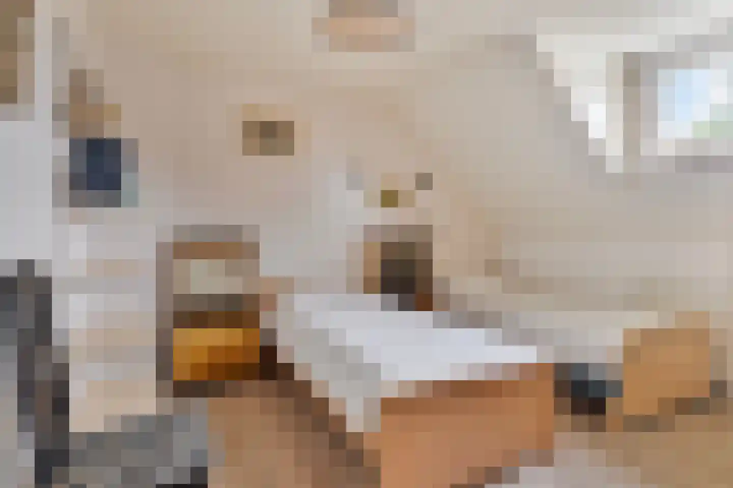 de Kleine Lend 10 Reusel thumbnail 22