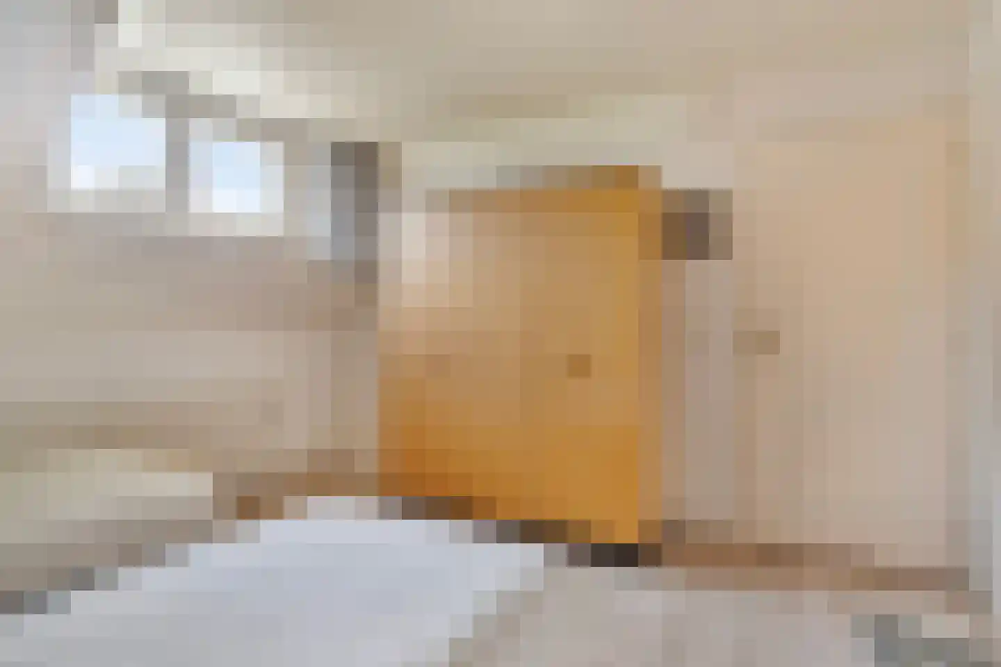 de Kleine Lend 10 Reusel thumbnail 23