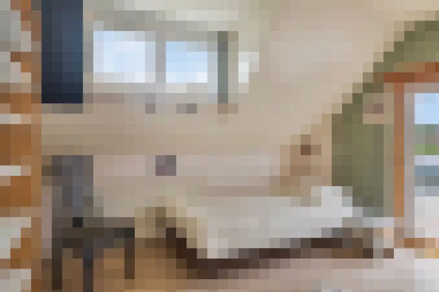 de Kleine Lend 10 Reusel thumbnail 24