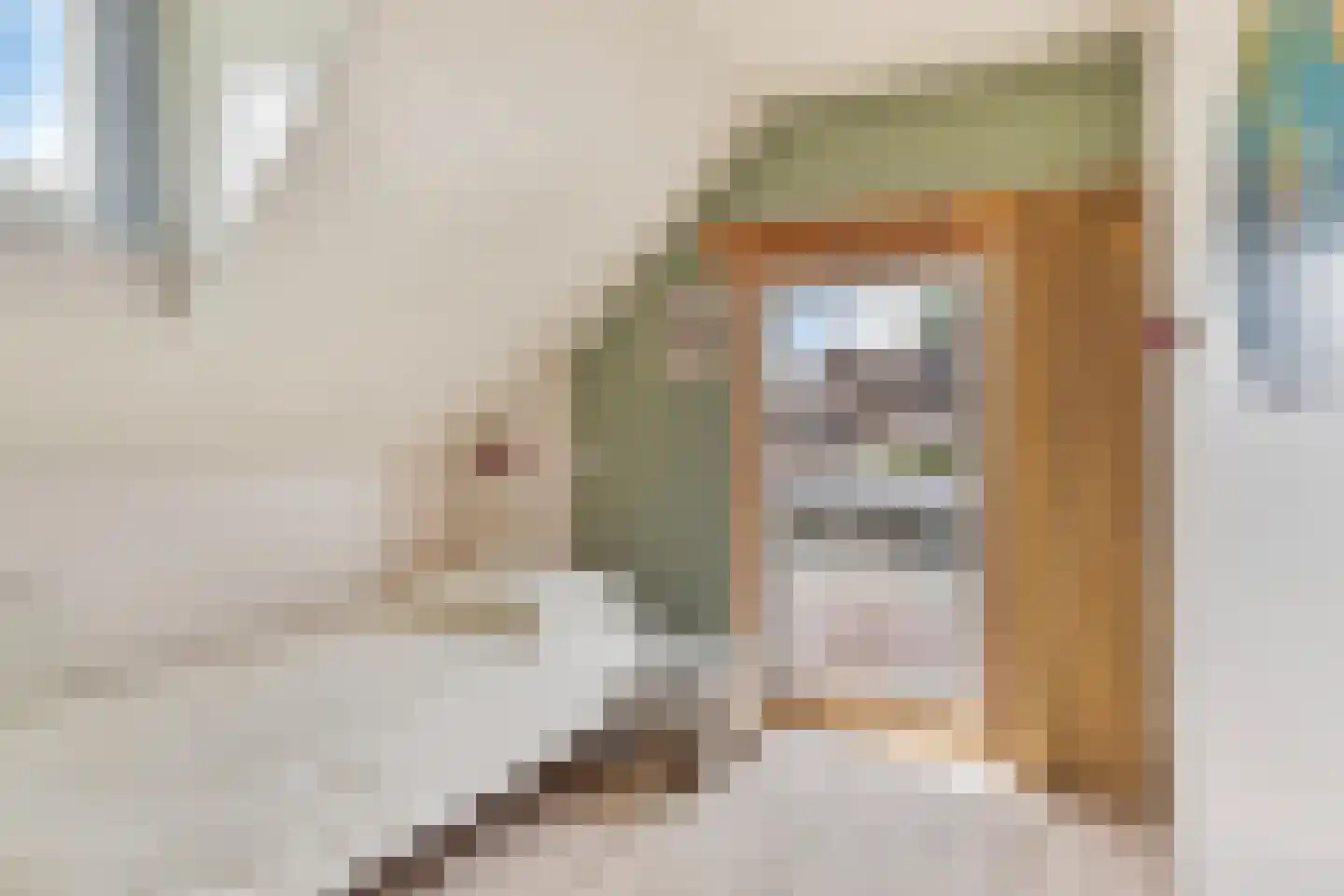 de Kleine Lend 10 Reusel thumbnail 25