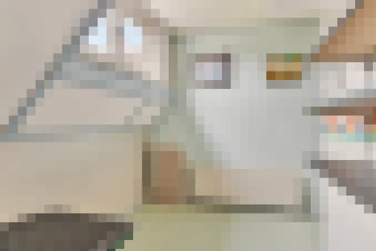 de Kleine Lend 10 Reusel thumbnail 27