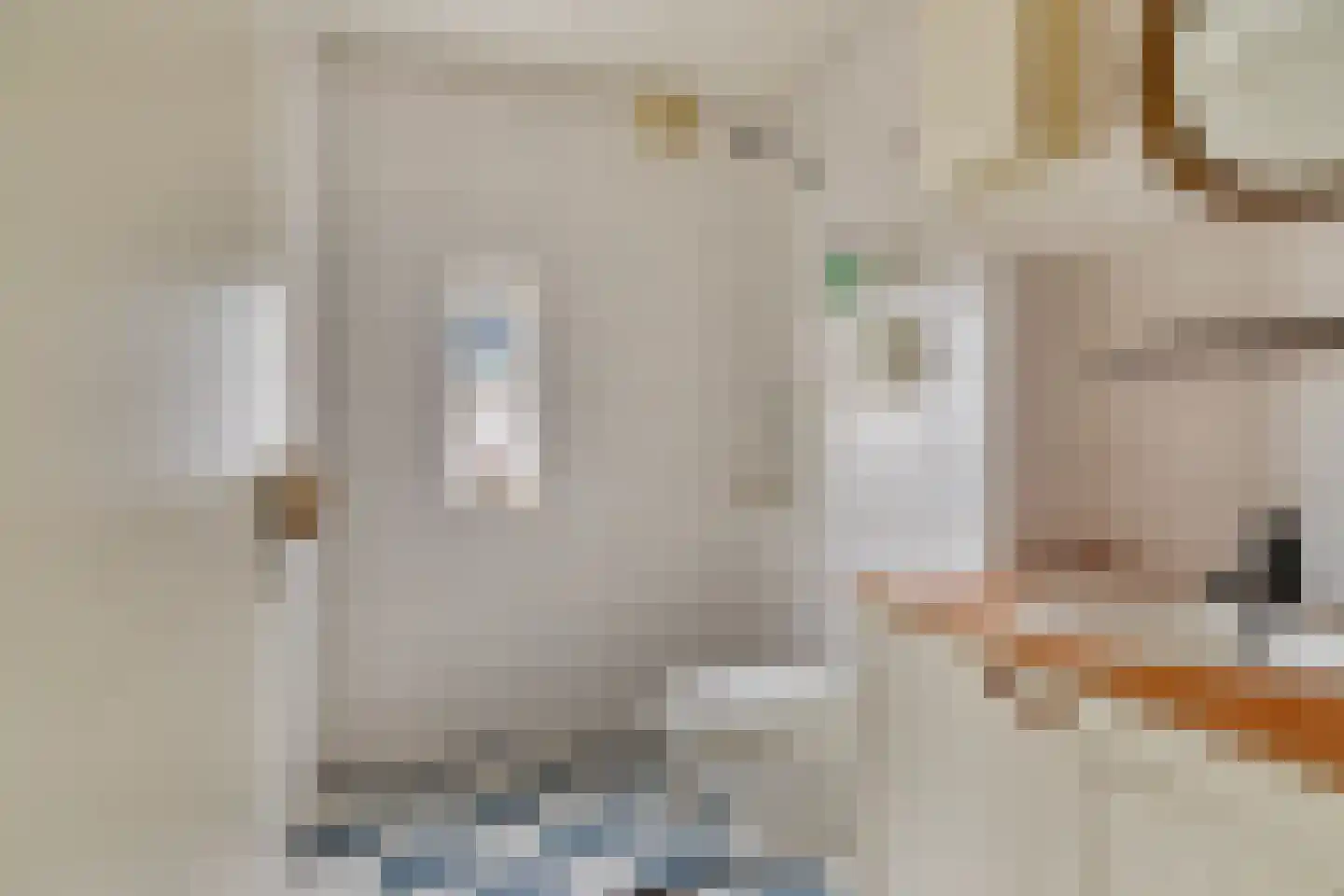 de Kleine Lend 10 Reusel thumbnail 28