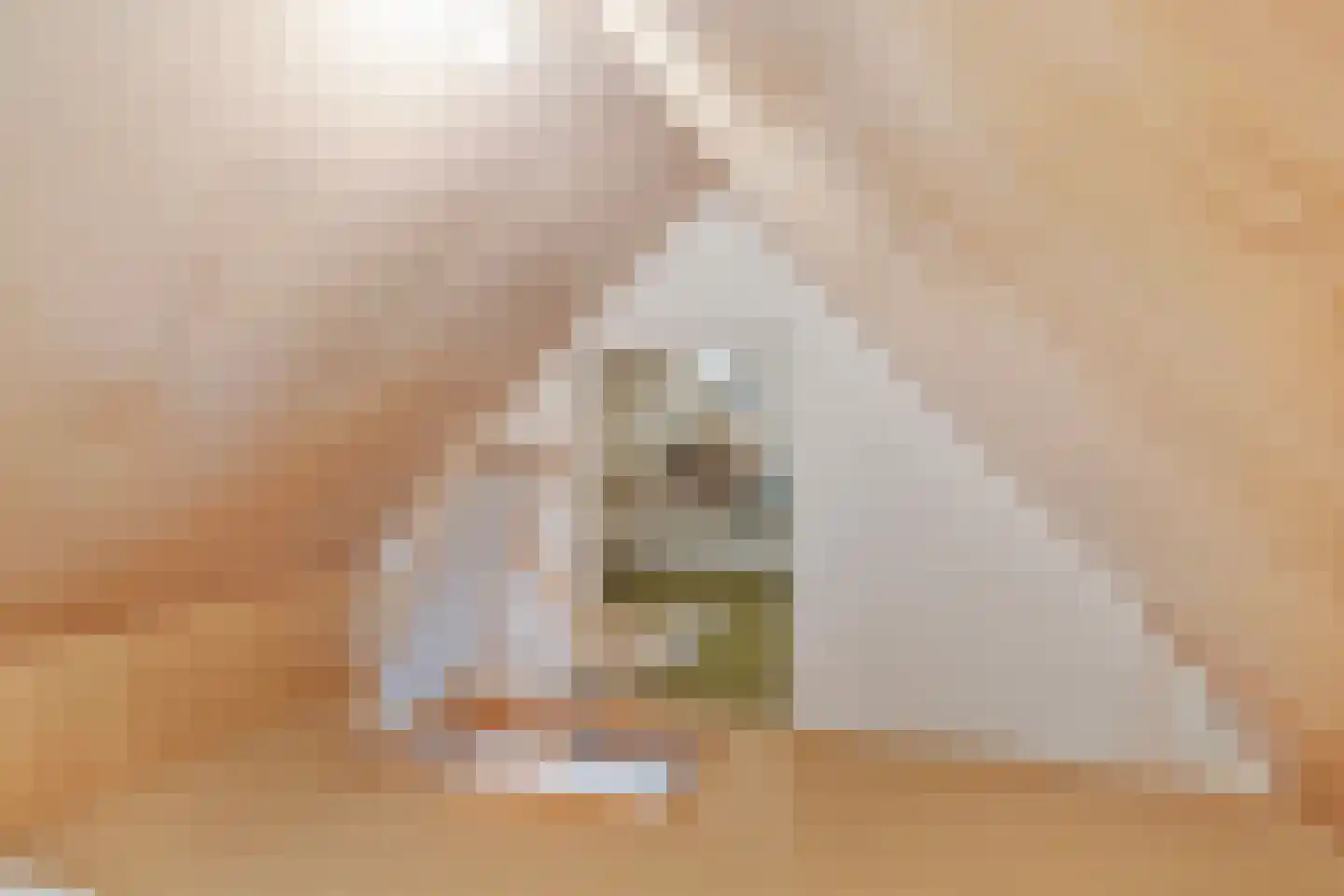 de Kleine Lend 10 Reusel thumbnail 30
