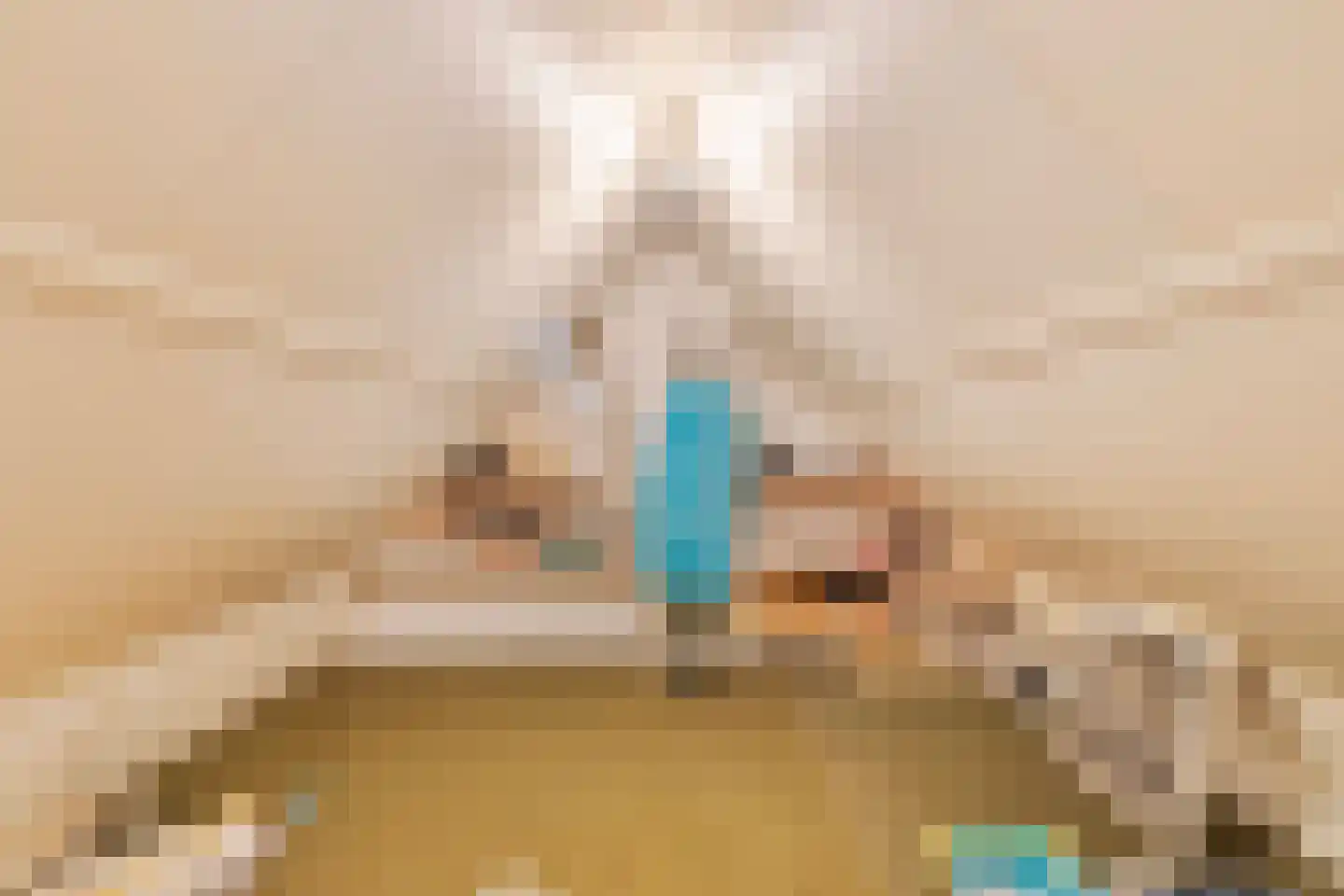 de Kleine Lend 10 Reusel thumbnail 31
