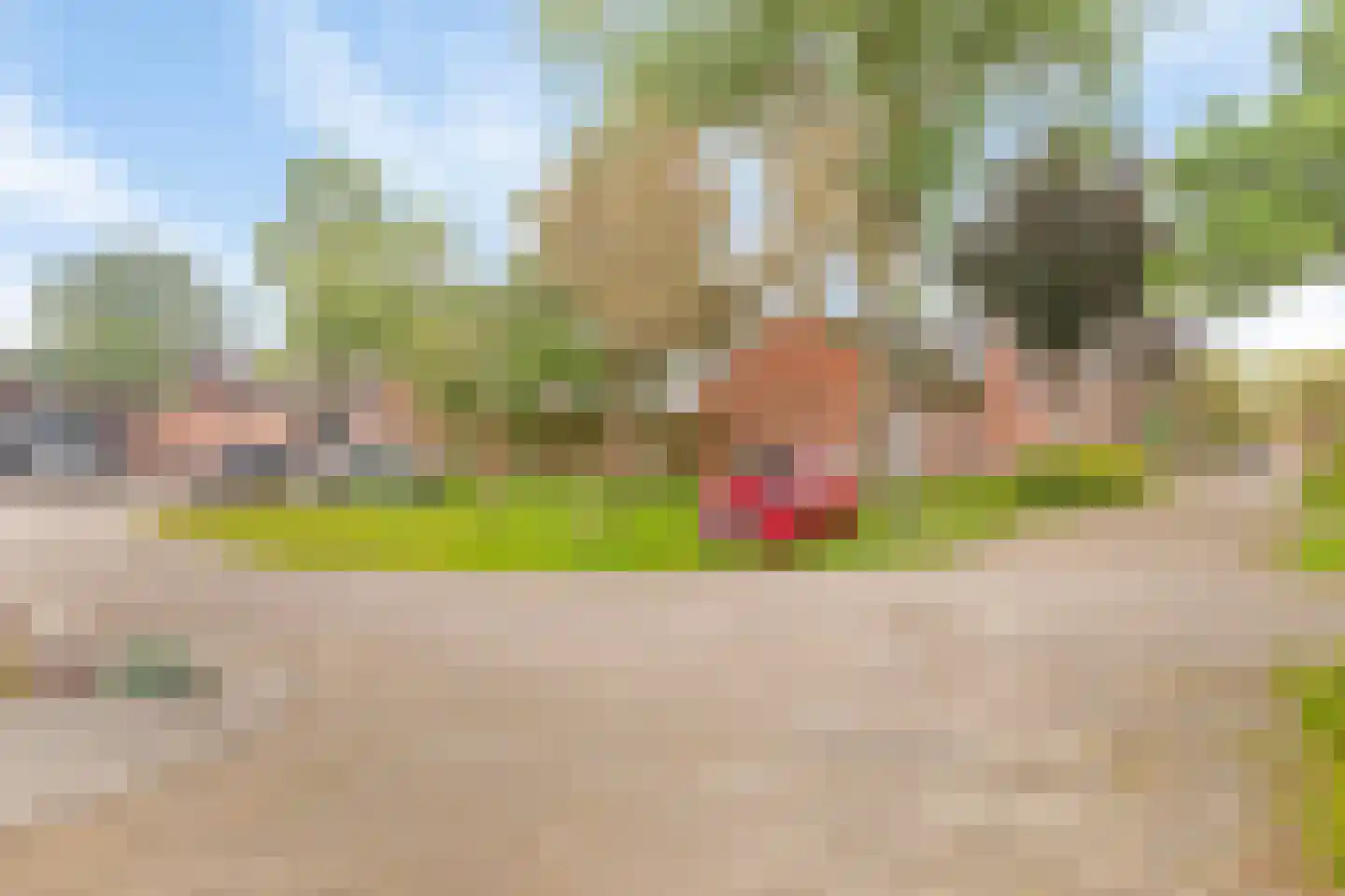 de Kleine Lend 10 Reusel thumbnail 37