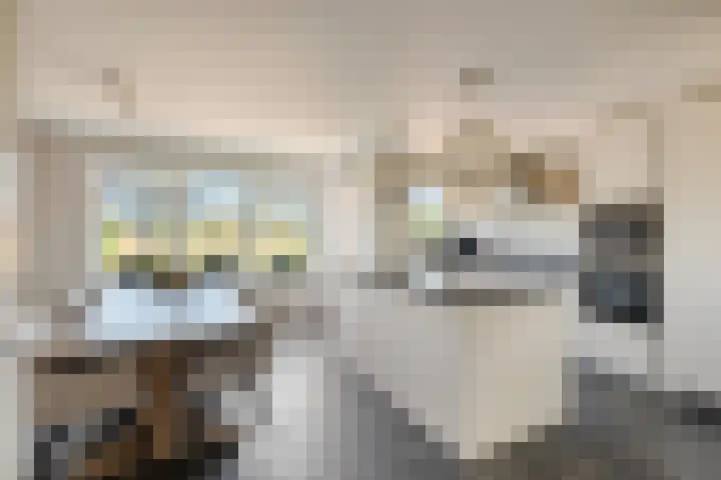 De Kleine Pol 16 Bunschoten-Spakenburg thumbnail 21