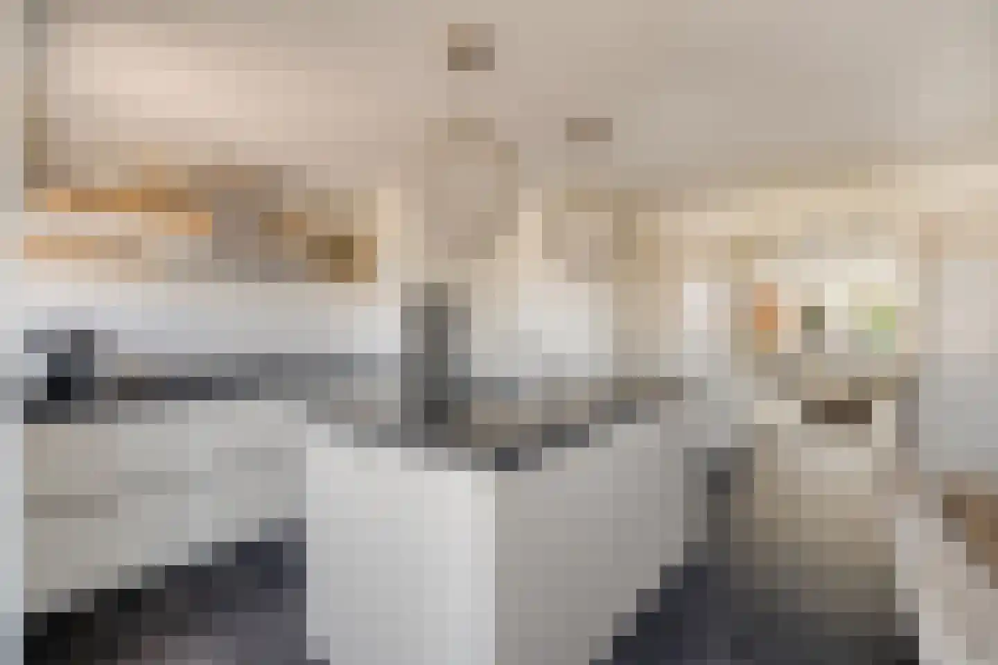 De Kleine Pol 16 Bunschoten-Spakenburg thumbnail 24