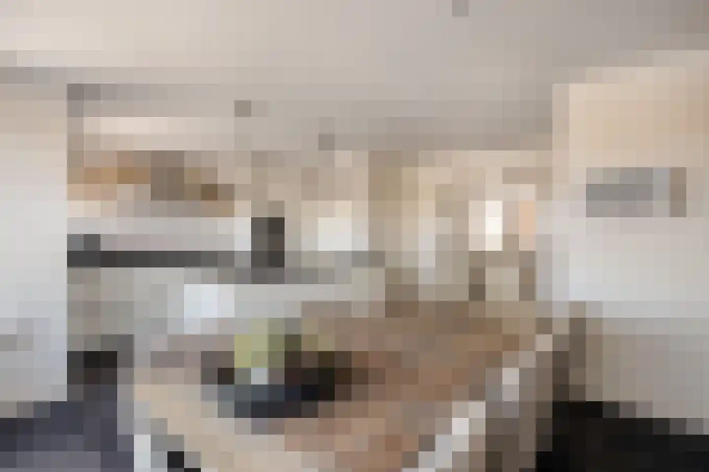 De Kleine Pol 16 Bunschoten-Spakenburg thumbnail 29
