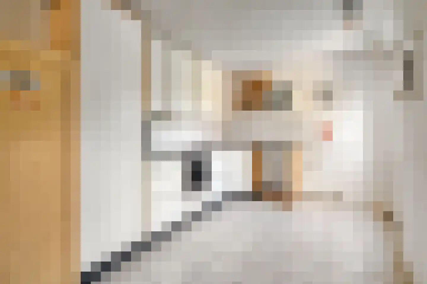 De Kleine Pol 16 Bunschoten-Spakenburg thumbnail 33
