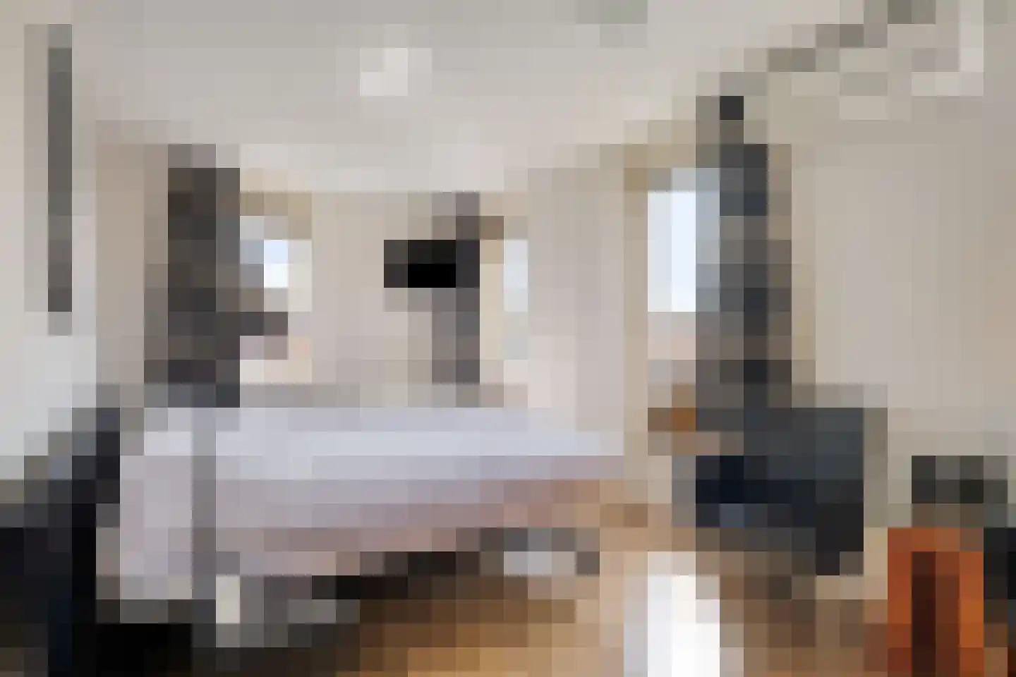 De Kleine Pol 16 Bunschoten-Spakenburg thumbnail 36