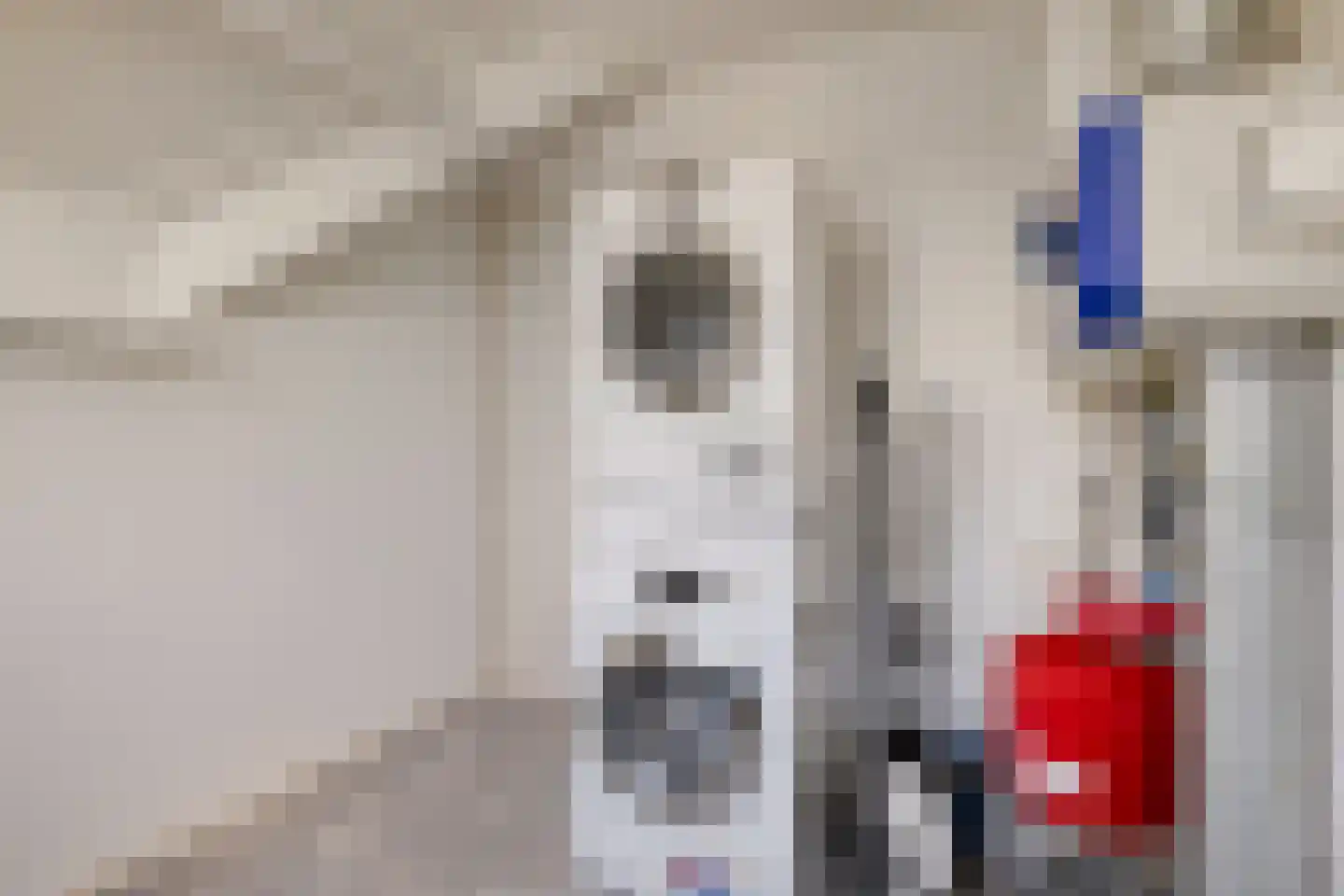 De Kleine Pol 16 Bunschoten-Spakenburg thumbnail 58