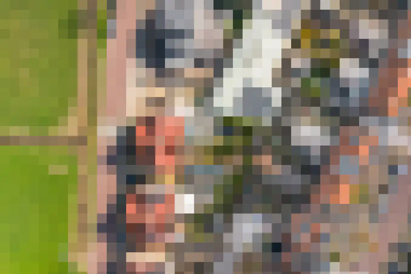De Kleine Pol 16 Bunschoten-Spakenburg thumbnail 62