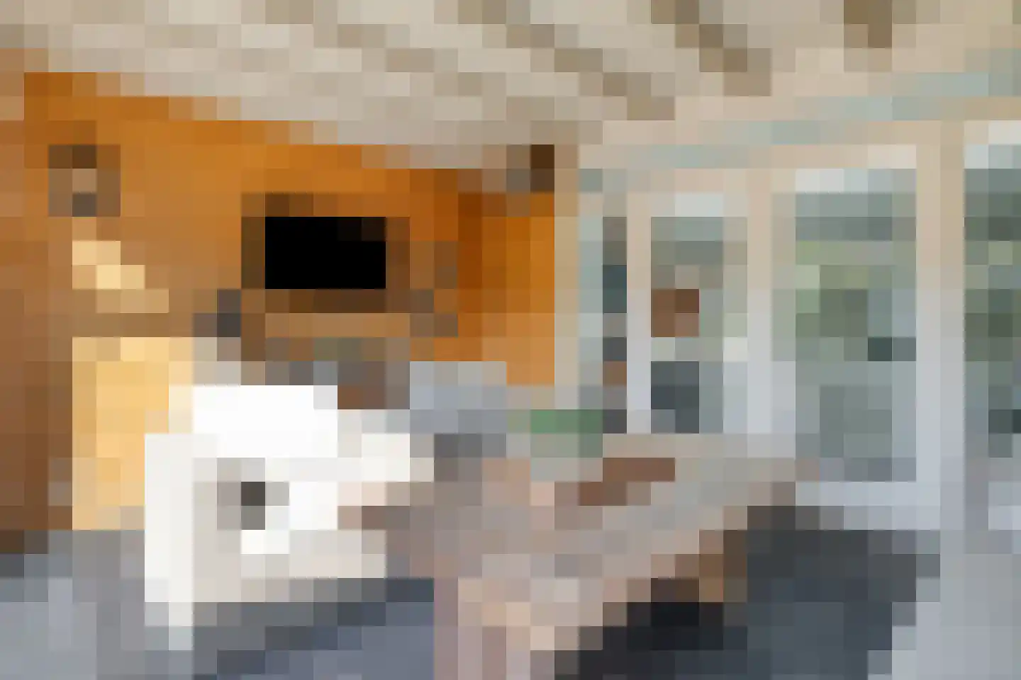 De Kleine Pol 16 Bunschoten-Spakenburg thumbnail 63