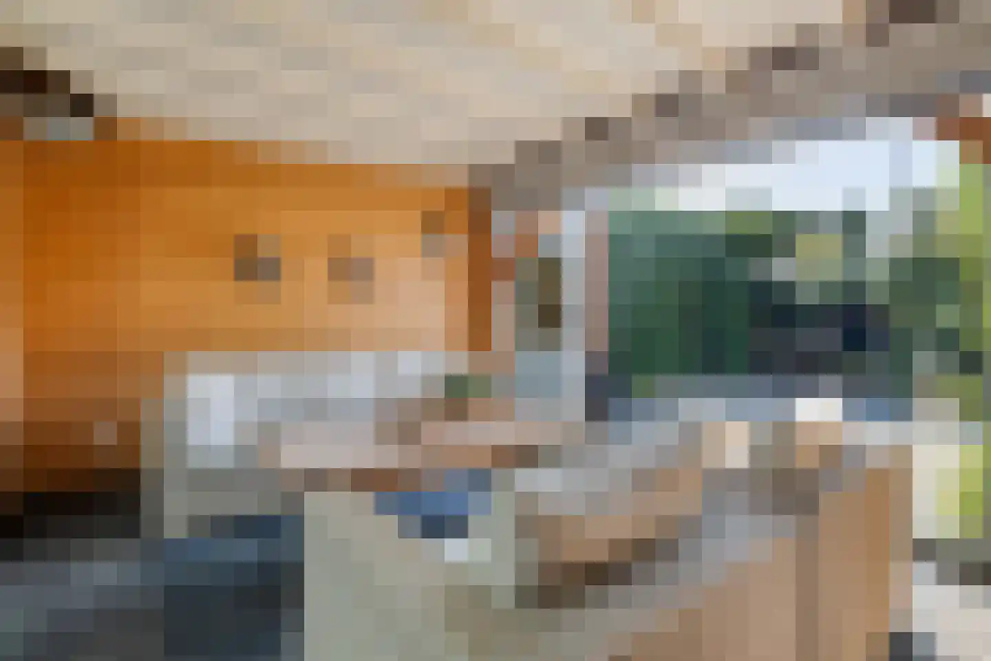 De Kleine Pol 16 Bunschoten-Spakenburg thumbnail 64