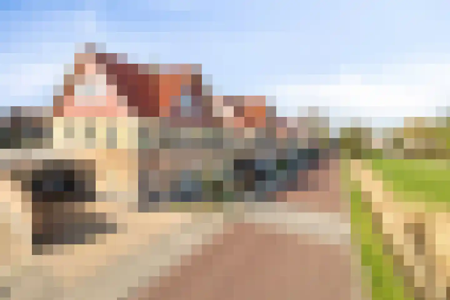 De Kleine Pol 16 Bunschoten-Spakenburg thumbnail 74