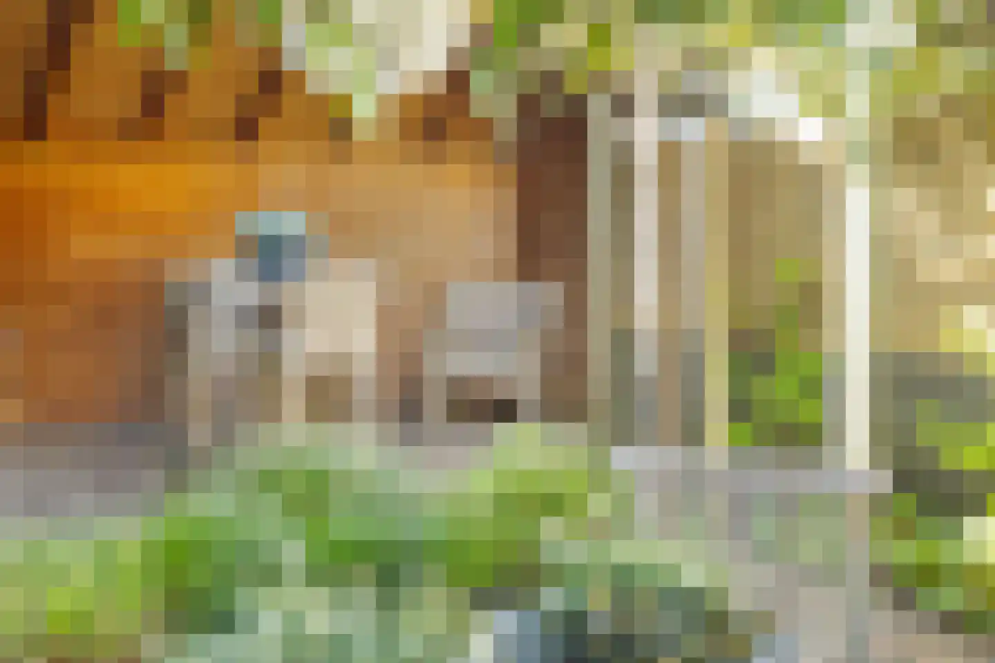De Kleine Pol 16 Bunschoten-Spakenburg thumbnail 76