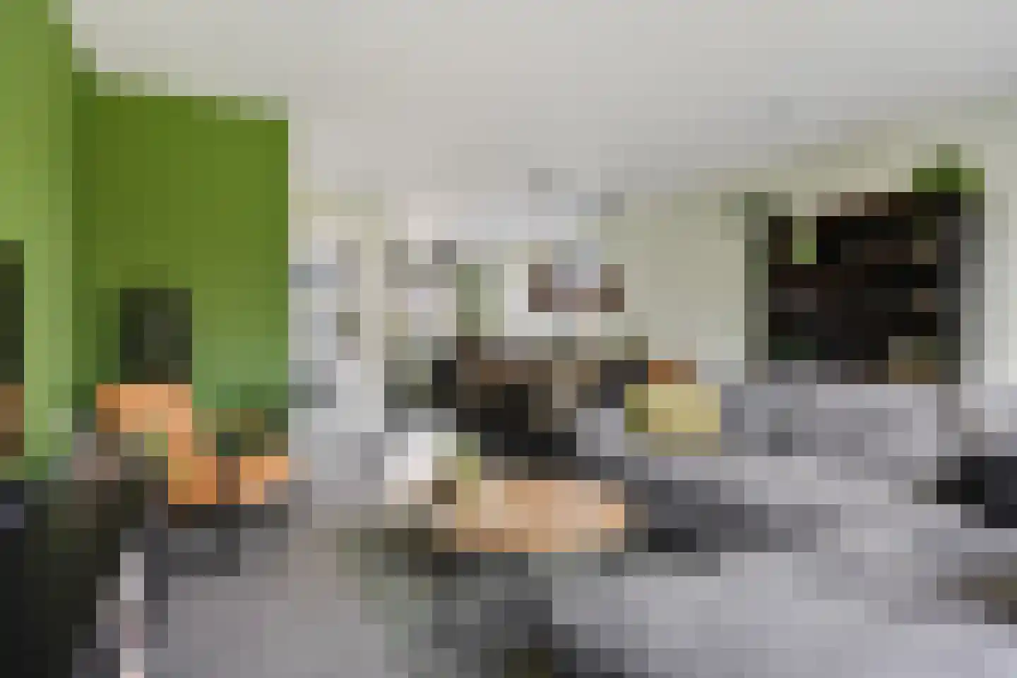 De kleine weide 25 Oijen thumbnail 14