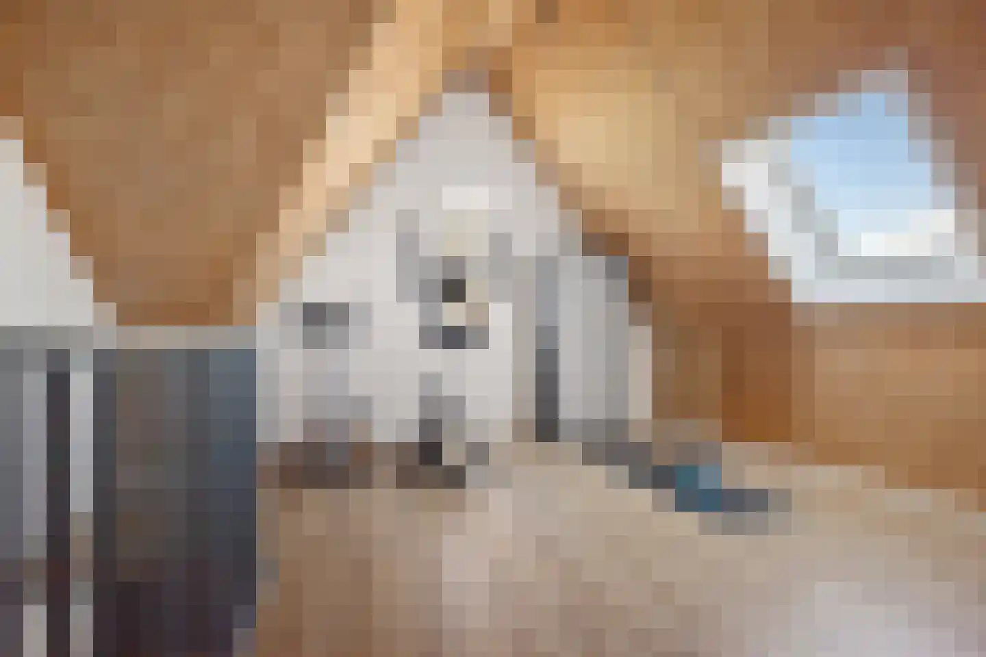 De kleine weide 25 Oijen thumbnail 36