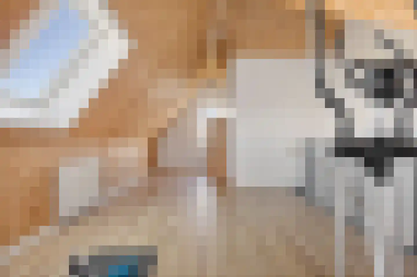 De kleine weide 25 Oijen thumbnail 37