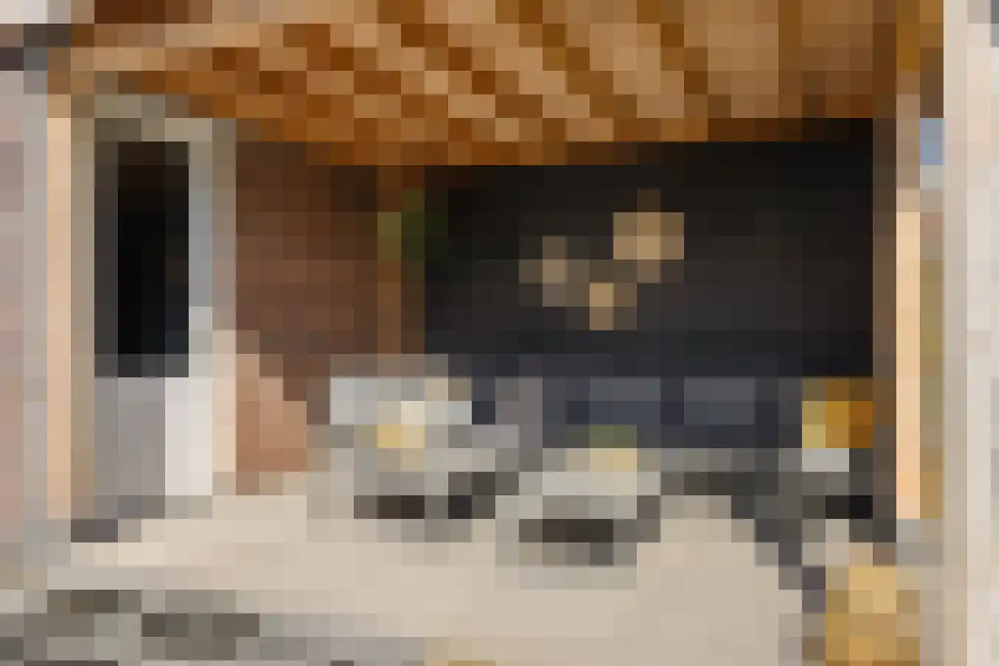 De kleine weide 25 Oijen thumbnail 40