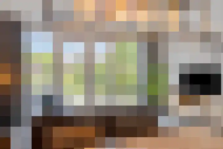De kleine weide 8 Oijen thumbnail 10