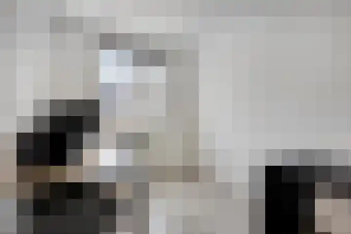 De kleine weide 8 Oijen thumbnail 20