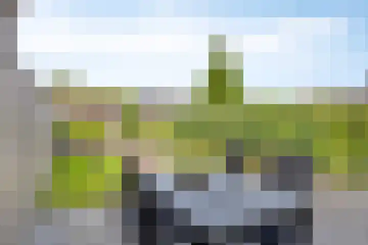 De kleine weide 8 Oijen thumbnail 29