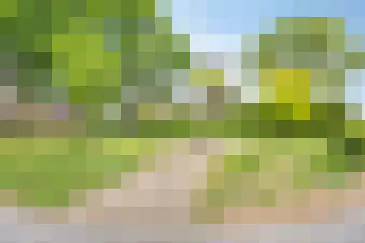 De kleine weide 8 Oijen thumbnail 31