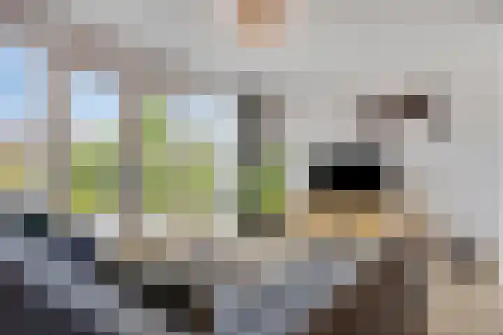 De kleine weide 8 Oijen thumbnail 6