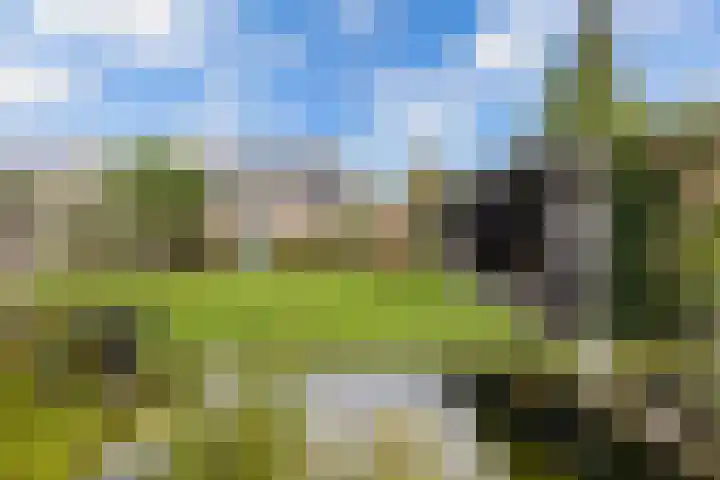 De Klencke 15 Lelystad thumbnail 32