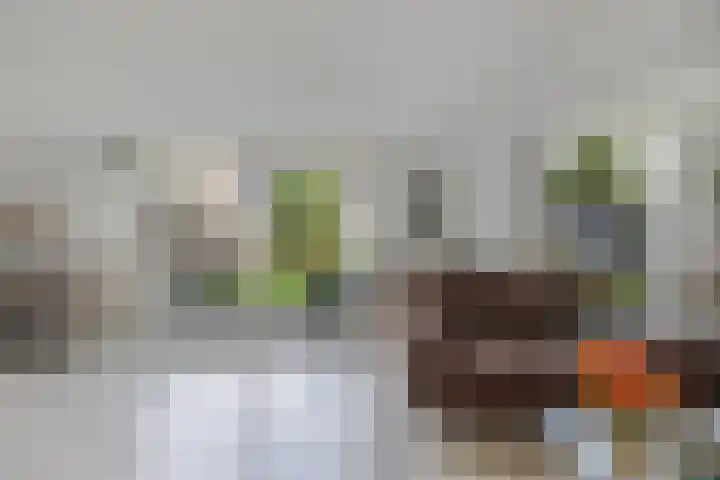 De Klencke 15 Lelystad thumbnail 7