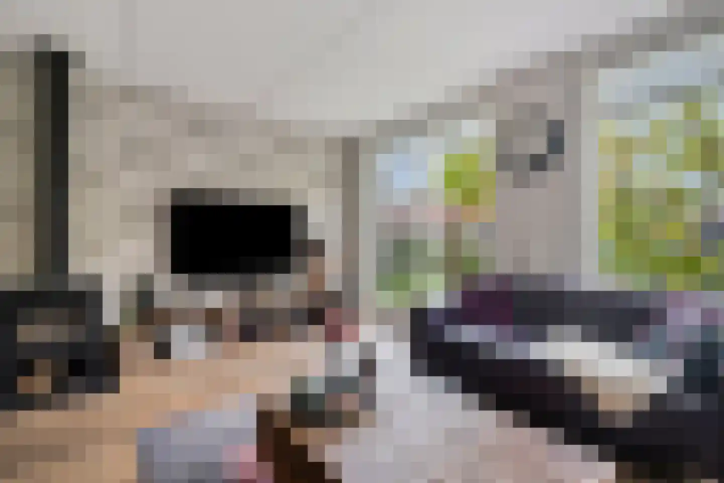De Klencke 16 Meppel thumbnail 6