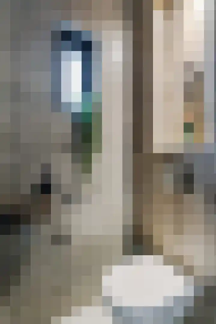 de Klencke 18 Roden thumbnail 11