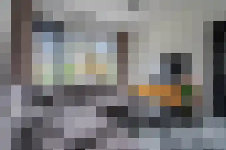de Klencke 18 Roden thumbnail 13