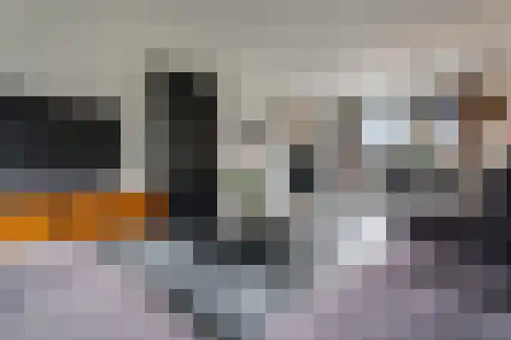 de Klencke 18 Roden thumbnail 15