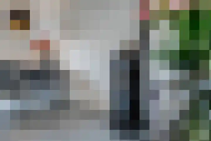 de Klencke 18 Roden thumbnail 16