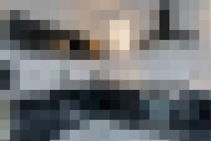 de Klencke 18 Roden thumbnail 21