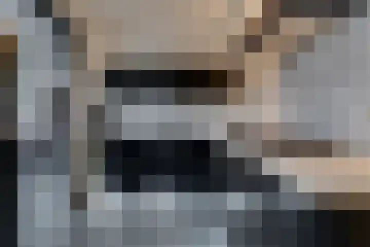 de Klencke 18 Roden thumbnail 22