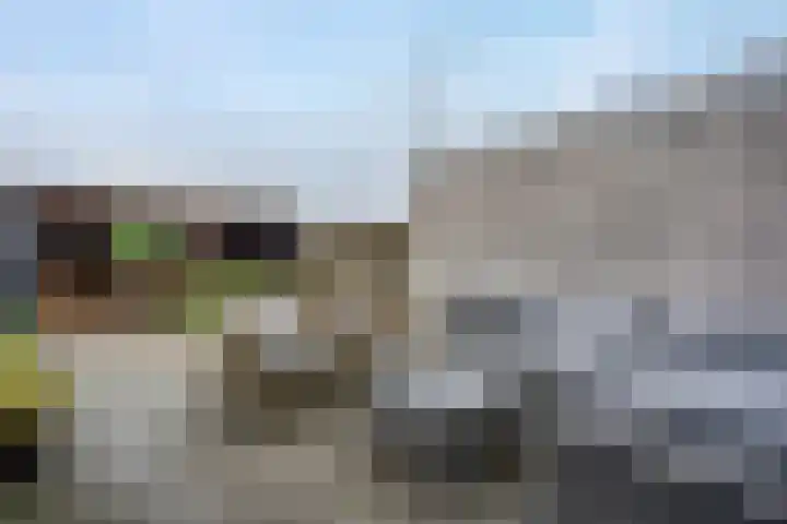 de Klencke 18 Roden thumbnail 27